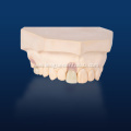 Implant Crown and Bridge